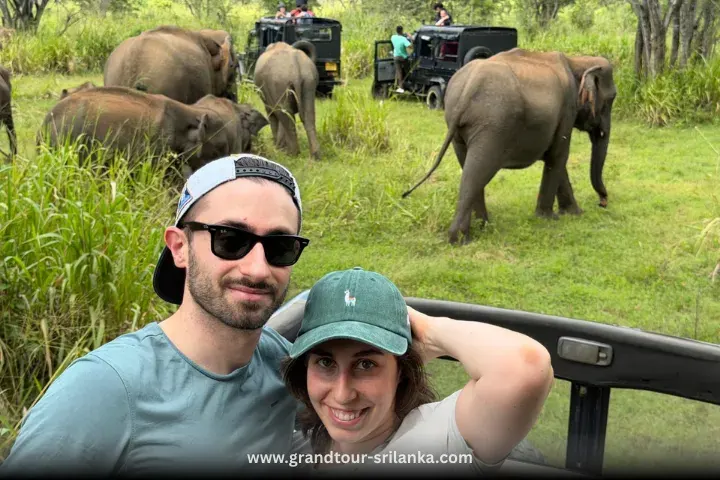 Travellers on a safari jeep watching wildlife in a national park