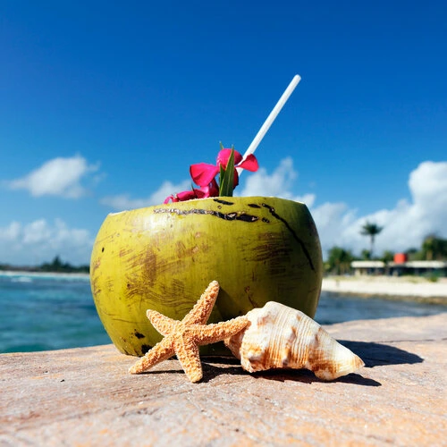 Coconut with drinking straw in the beach