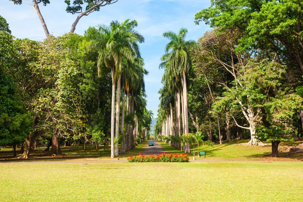 Peradeniya Botanical Garden